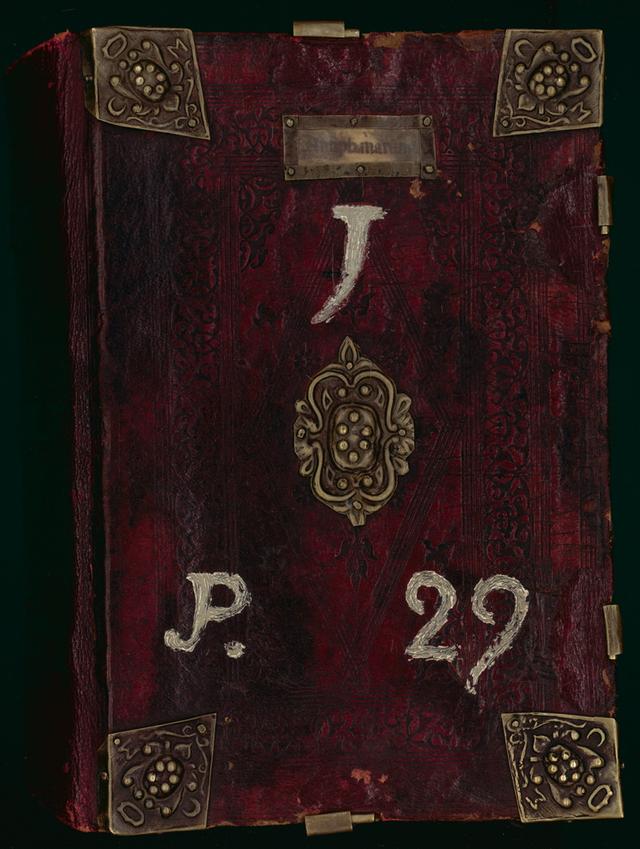 Magnus liber organi